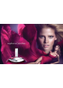 Calvin Klein Euphoria Set (EDP 50ml + EDP 10ml + BL 100ml) για γυναίκες Γυναικεία σετ